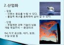 우리나라의 개발과 보존 대립 실태 및 환경 문제 해결 4페이지