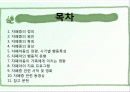 자폐증의 원인, 특징, 특성 및 유형, 치료 프로그램 2페이지
