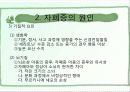 자폐증의 원인, 특징, 특성 및 유형, 치료 프로그램 6페이지