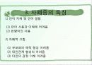 자폐증의 원인, 특징, 특성 및 유형, 치료 프로그램 7페이지