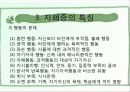 자폐증의 원인, 특징, 특성 및 유형, 치료 프로그램 8페이지