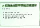 자폐증의 원인, 특징, 특성 및 유형, 치료 프로그램 13페이지