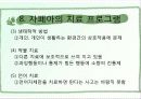 자폐증의 원인, 특징, 특성 및 유형, 치료 프로그램 21페이지