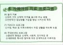 자폐증의 원인, 특징, 특성 및 유형, 치료 프로그램 22페이지