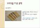 역사 속의 고조선 18페이지