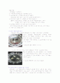 탄산음료가 우리 몸에 얼마나 해를 끼치는가 3페이지