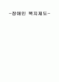 장애인 복지제도 1페이지
