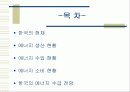 한국의 에너지 수급 전망 발표 2페이지