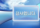 폐기물 에너지 현황 및 전망 29페이지