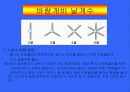 [기초공학설계] 장시간 비행 가능한 바람개비의 설계 4페이지