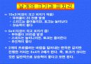[기초공학설계] 장시간 비행 가능한 바람개비의 설계 5페이지
