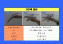 [기초공학설계] 장시간 비행 가능한 바람개비의 설계 9페이지