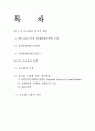 유로화의 역사적배경, 출범, 제도, 도입 의미. 1페이지