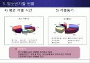 청소년  가출 원인과 현황, 유형 및 문제점, 대안제시 외국의 사례 11페이지
