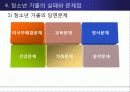 청소년  가출 원인과 현황, 유형 및 문제점, 대안제시 외국의 사례 12페이지