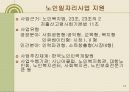 [노인문제] 노인 소득 실태 13페이지
