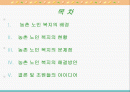 농촌지역 노인복지의 현황과 환경 및 문제점과 노인복지 개선방안 2페이지
