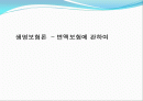 [생명보험론] 변액보험에 관하여 1페이지