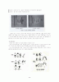 전조작기의 사고 특성을 가지고 있는 유아들이 유치원 학급에서 하루 일과를 보내는 동안에는 다양한 상황에서 분쟁과 갈등이 생기기 마련, 교사들은 교실 내에서 지켜야 할 적절한 규칙을 제시 9페이지