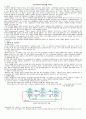 [생명과학] 항상성[Homeostasis]에 관하여 1페이지