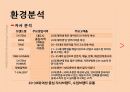 한섬 Handsome 브랜드분석및 마케팅 SWOT,STP,4P전략분석 10페이지
