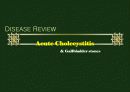 담낭염(cholecystitis)케이스 16페이지