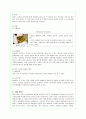 웰빙 샐러드바(Salad Bar) 창업계획서 10페이지