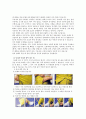 [생활예절] 우리 고유의 의복인 한복을 바르게 입는 법 4페이지