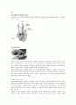 [모성간호학-환자사례 간호과정] 자궁경부 이형성증 (moderate cervical dysplasia) 케이스 25페이지