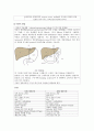 [성인간호학 - 환자사례 간호과정] 위암 (Malignant neoplasm of stomach) 케이스 12페이지