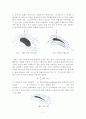 [기계공학실험] 풍동실험 7페이지