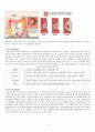  대장암 케이스 스터디 (Colon Cancer Case Study)  2페이지
