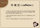 커피 (Coffee) 7페이지