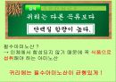 귀리 (oat) 7페이지