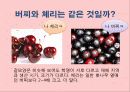 버찌 (cherry) 3페이지
