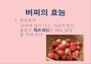 버찌 (cherry) 5페이지