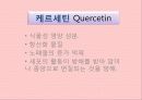 버찌 (cherry) 6페이지