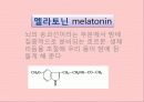 버찌 (cherry) 8페이지