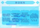 브론펜브레너(U. Bronfenbrenner) 생태학적 이론 접근 5페이지