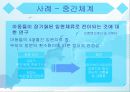 브론펜브레너(U. Bronfenbrenner) 생태학적 이론 접근 11페이지
