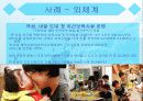 브론펜브레너(U. Bronfenbrenner) 생태학적 이론 접근 14페이지