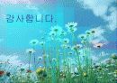 브론펜브레너(U. Bronfenbrenner) 생태학적 이론 접근 20페이지