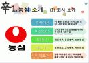 신라면 블랙이 실패한 이유와 이에 대한 전략적 제언 3페이지