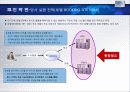 For The Most Innovative Services HOTEL 산업 보고서 51페이지
