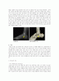 골절 환자 case study 17페이지