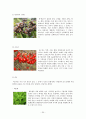 스무디킹 기업 SWOT분석 및 마케팅전략분석, 새로운 마케팅전략제안, 시장전략, 제품전략, 가격전략, 유통전략, 나의견해 30페이지