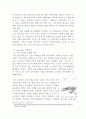 프렌치카페 카페믹스 마케팅 전략분석 및 새로운 마케팅전략제안 20페이지