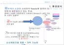 케라시스 신제품&마케팅 5페이지