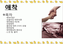 보울비 애착이론 2페이지