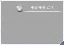 a+애플 마케팅 분석-뉴욕닉스 15페이지